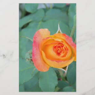 orange-gelbe Blume Briefpapier