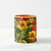 orange gelbe Blumen, Nurie, Blumen, Garten Tasse (Zentrum)