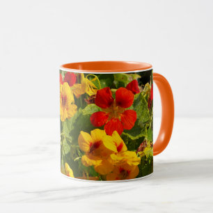 orange gelbe Blumen, Nurie, Blumen, Garten Tasse