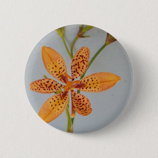 Orange gepunktet Iris genannt eine BlackBerry-Lili Button (Vorderseite)