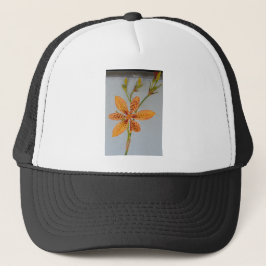 Orange gepunktet Iris genannt eine BlackBerry-Lili Truckerkappe