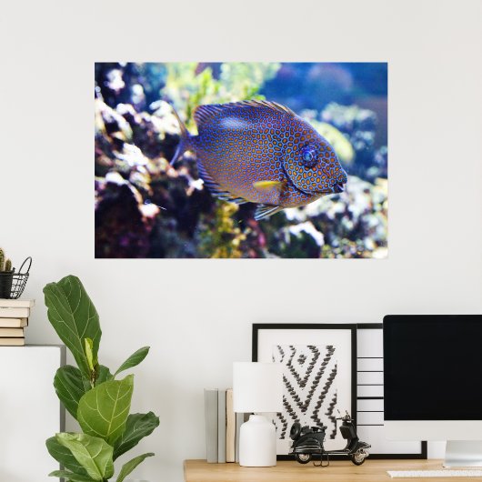 Orange Gepunktete Kaninchenfische Poster (Heimbüro)