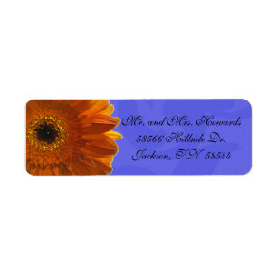 Orange Gerber Daisy Blue Rücksendeadresse