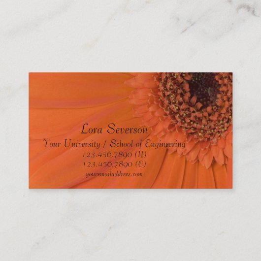 Orange Gerber Daisy Graduate Telefonnummerkarte (Vorderseite)