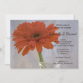 Orange Gerber Daisy in Vase Wedding Einladung (Vorderseite)
