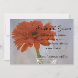 Orange Gerber Daisy in Vase Wedding Save the Date Einladung