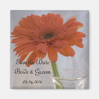 Orange Gerber Daisy in Vase Wedding Save the Date