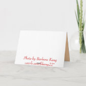 Orange Gerber Daisy Karte (Rückseite)