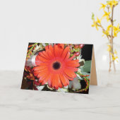 Orange Gerber Daisy Karte (Gelbe Blume)