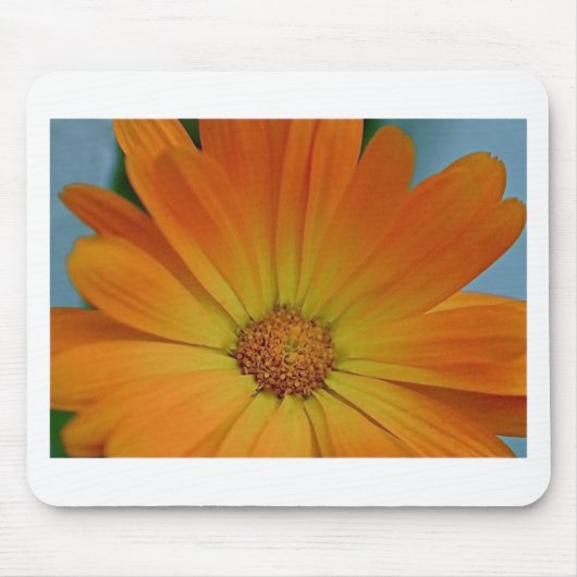 Orange Gerber Daisy Mousepad (Vorne)