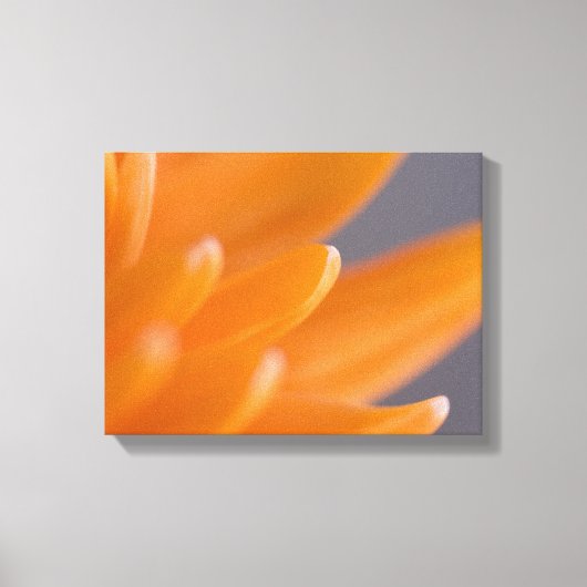 Orange Gerber Daisy Petals Leinwanddruck (Vorderseite)