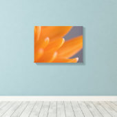 Orange Gerber Daisy Petals Leinwanddruck (Insitu (Holzboden))