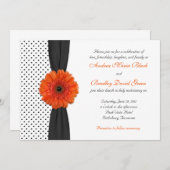 Orange Gerber Daisy Polka Dot Wedding Einladung (Vorne/Hinten)