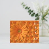 Orange Gerber Daisy Postkarte (Stehend Vorderseite)