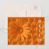 Orange Gerber Daisy Postkarte (Vorne/Hinten)