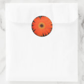 Orange Gerber Daisy Runder Aufkleber (Tasche)