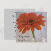 Orange Gerber Daisy Wedding Einladung (Vorne/Hinten)