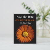 Orange Gerber Daisy Wedding Save the Date Cards Ankündigungspostkarte (Stehend Vorderseite)