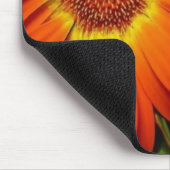 Orange Gerber Gänseblümchen Mousepad (Ecke)