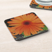 Orange Gerber Gerbera Gänseblümchen daisie Getränkeuntersetzer (Linke Seite)