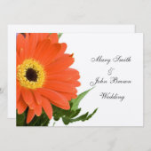 Orange Gerber Wedding Einladung (Vorne/Hinten)