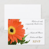 Orange Gerber Wedding RSVP Karte (Vorne/Hinten)