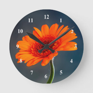 Orange Gerbera Acrylic Wanduhr