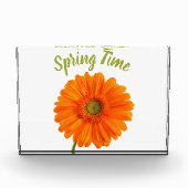 Orange gerbera Blume Frühjahrszeit Foto mit Text (Vorderseite)