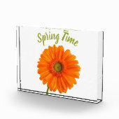 Orange gerbera Blume Frühjahrszeit Foto mit Text (Rechts)