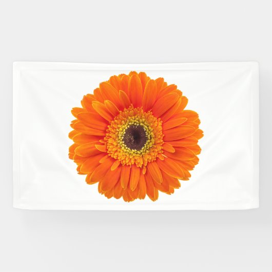 Orange Gerbera Daisy Banner (Horizontal)