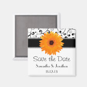 Orange Gerbera Daisy Black Scroll Save the Date Magnet (Vorderseite/Rückseite)