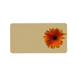 Orange Gerbera Daisy Blank Wedding Address Labels Adressaufkleber