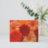 Orange Gerbera Daisy Blume Foto Postkarten (Stehend Vorderseite)