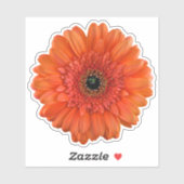 Orange Gerbera Daisy Blume Kiss-Cut Sticker (Blatt)