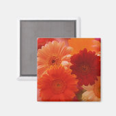 Orange Gerbera Daisy Blume Kühlschrank Magnete Magnet (Vorderseite/Rückseite)