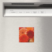 Orange Gerbera Daisy Blume Kühlschrank Magnete Magnet (In Situ (Geschirrspüler))