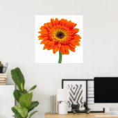 Orange Gerbera Daisy Blume Poster (Heimbüro)