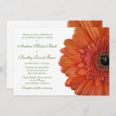 Orange Gerbera Daisy Blume Wedding Einladung (Vorne/Hinten)
