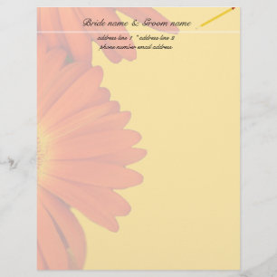 orange Gerbera-Daisy-Blumen Briefkopf