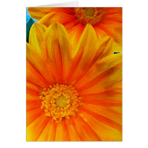 Orange Gerbera Daisy Digital Painting Card