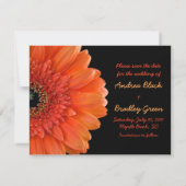Orange Gerbera Daisy Foto Wedding Rett Date Save The Date (Rückseite)