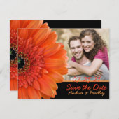 Orange Gerbera Daisy Foto Wedding Rett Date Save The Date (Vorne/Hinten)