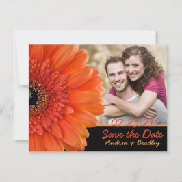 Orange Gerbera Daisy Foto Wedding Rett Date Save The Date