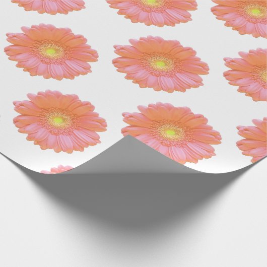 Orange gerbera daisy geschenkpapier (Ecke)