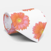 Orange gerbera daisy krawatte (Gerollt)