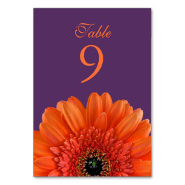 Orange Gerbera Daisy Lila Wedding Tischnummer