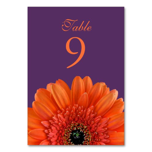 Orange Gerbera Daisy Lila Wedding Tischnummer (Rückseite)