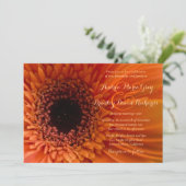 Orange Gerbera Daisy Macro Einladung zur Hochzeit (Stehend Vorderseite)