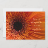 Orange Gerbera Daisy Macro Einladung zur Hochzeit (Rückseite)