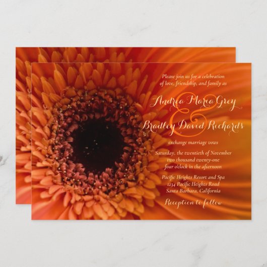 Orange Gerbera Daisy Macro Einladung zur Hochzeit (Vorne/Hinten)